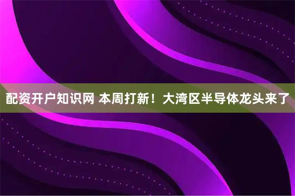 配资开户知识网 本周打新！大湾区半导体龙头来了